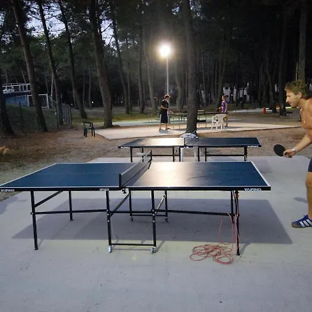 Holiday Zaton Holiday Resort.42 * Nin